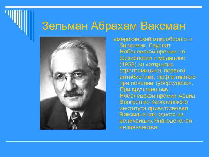 Доклад по теме Ваксман, Зельман Эйбрахам