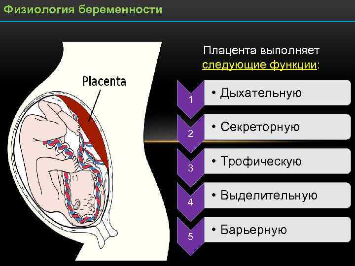 Физиологическая беременность