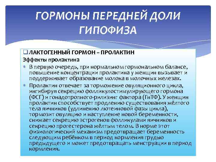 ГОРМОНЫ ПЕРЕДНЕЙ ДОЛИ ГИПОФИЗА q ЛАКТОГЕННЫЙ ГОРМОН – ПРОЛАКТИН Эффекты пролактина В первую очередь,