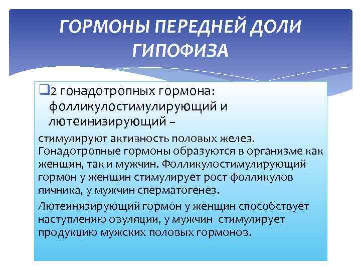 ГОРМОНЫ ПЕРЕДНЕЙ ДОЛИ ГИПОФИЗА q 2 гонадотропных гормона: фолликулостимулирующий и лютеинизирующий – стимулируют активность