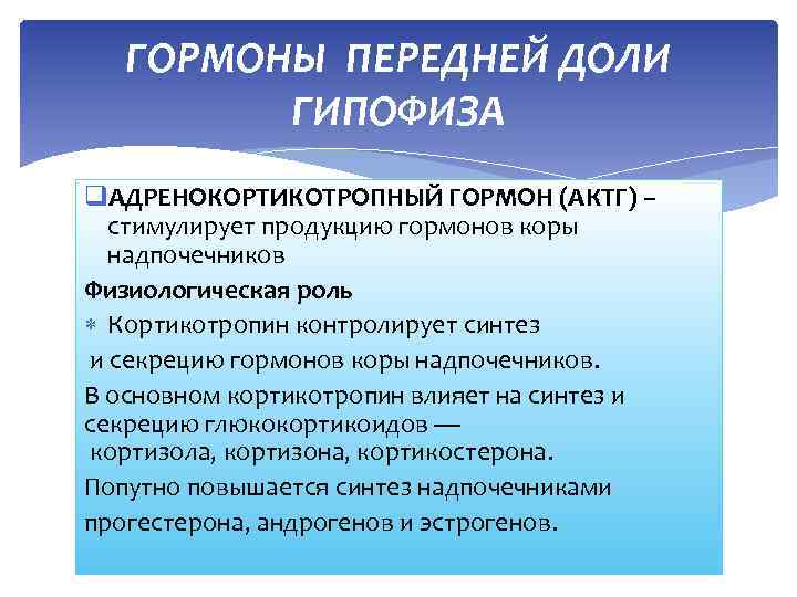 ГОРМОНЫ ПЕРЕДНЕЙ ДОЛИ ГИПОФИЗА q. АДРЕНОКОРТИКОТРОПНЫЙ ГОРМОН (АКТГ) – стимулирует продукцию гормонов коры надпочечников