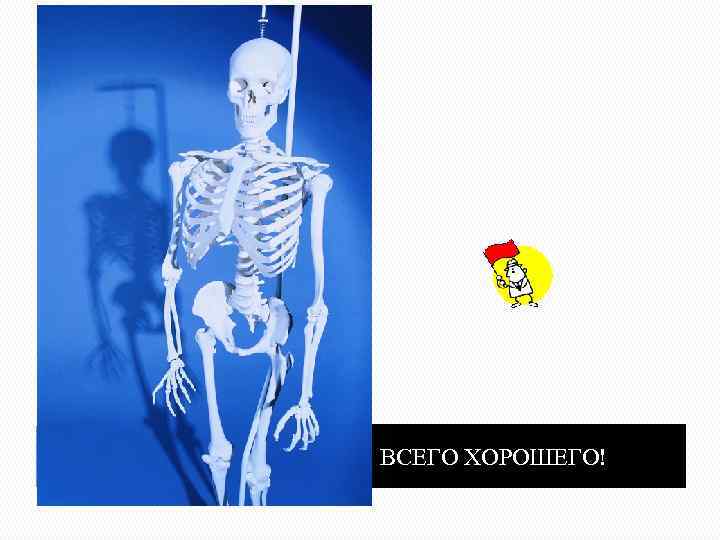 ВСЕГО ХОРОШЕГО! 