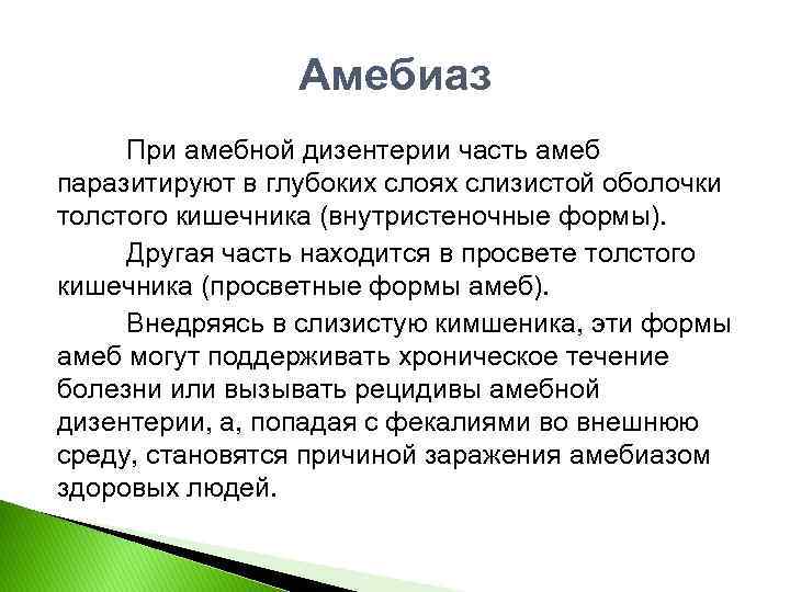 Амебиаз При амебной дизентерии часть амеб паразитируют в глубоких слоях слизистой оболочки толстого кишечника