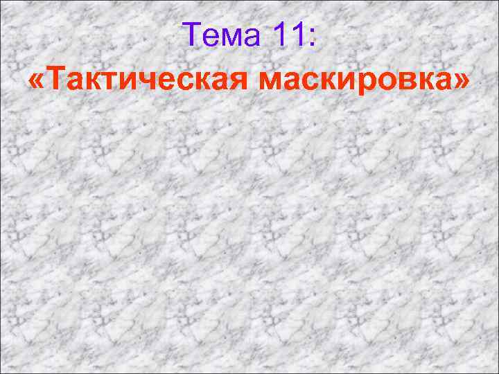 Тема 11: «Тактическая маскировка» 