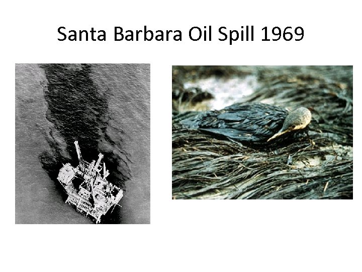 Santa Barbara Oil Spill 1969 