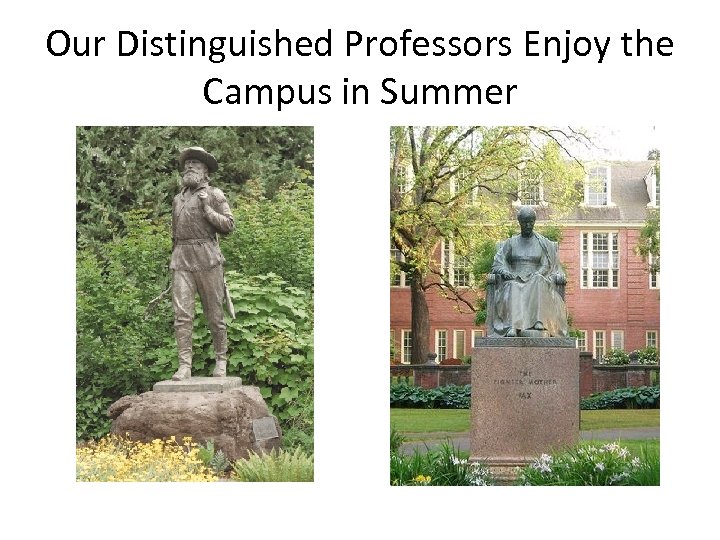 Our Distinguished Professors Enjoy the Campus in Summer 