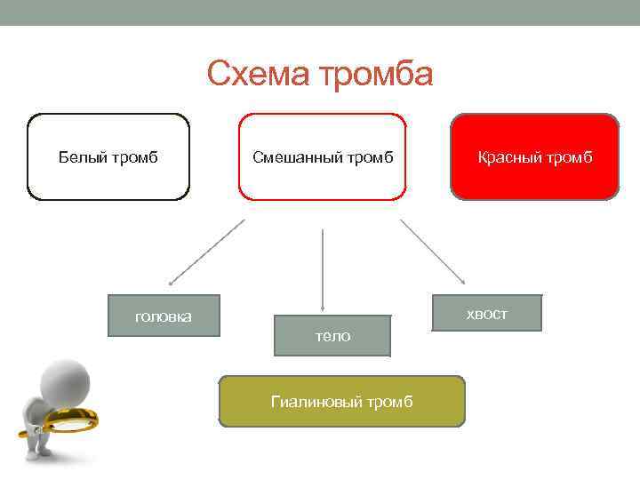 Схема тромбоза. Тромбоз схема. Стадии и патогенез тромбоза.