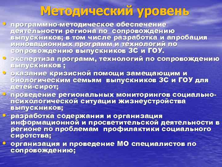 Методический уровень • программно-методическое обеспечение • • • деятельности региона по сопровождению выпускников; в