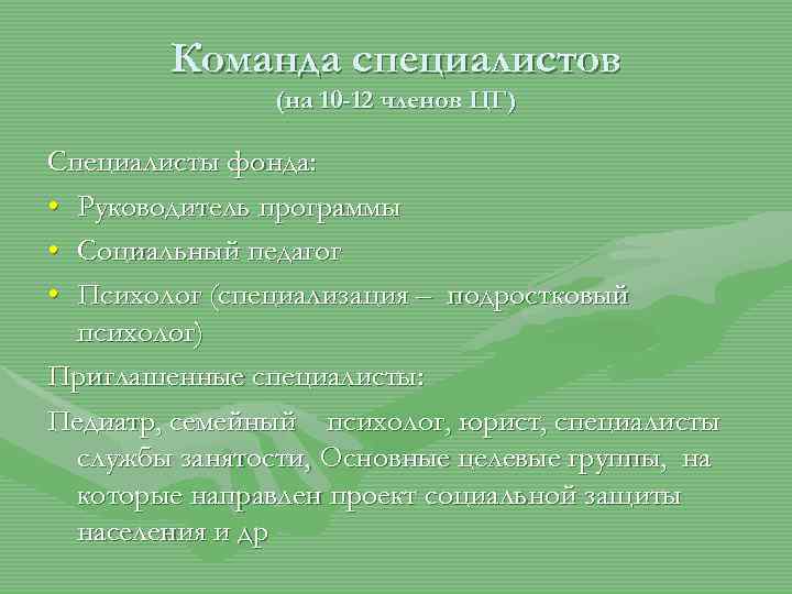 Команда специалистов (на 10 -12 членов ЦГ) Специалисты фонда: • Руководитель программы • Социальный