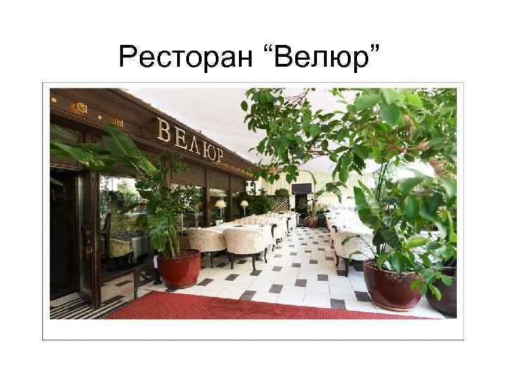 Ресторан “Велюр” 