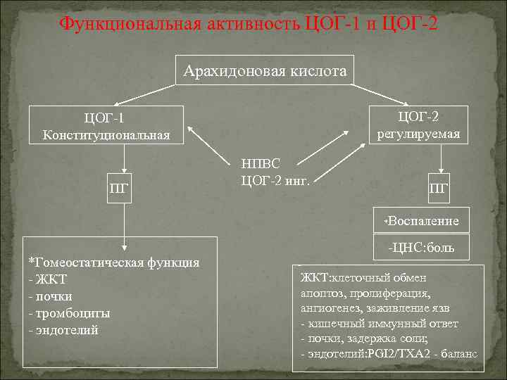 Функциональная активность ЦОГ 1 и ЦОГ 2 Арахидоновая кислота ЦОГ 2 регулируемая ЦОГ 1