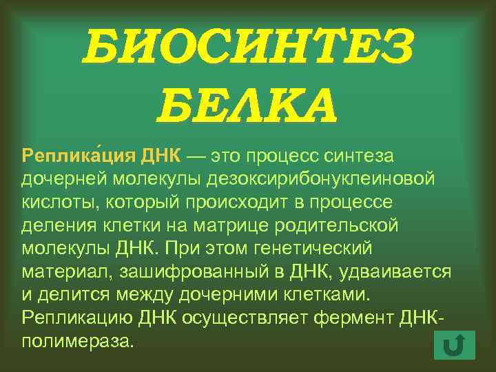 БИОСИНТЕЗ БЕЛКА Реплика ция ДНК — это процесс синтеза дочерней молекулы дезоксирибонуклеиновой кислоты, который