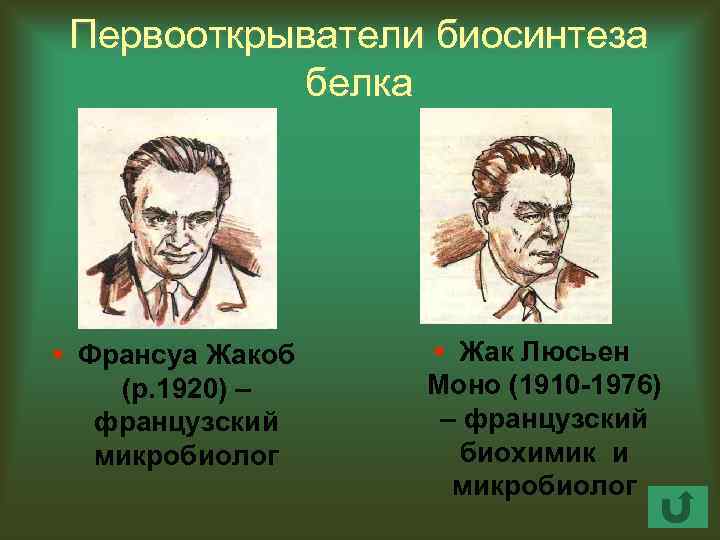 Первооткрыватели биосинтеза белка § Франсуа Жакоб (р. 1920) – французский микробиолог § Жак Люсьен