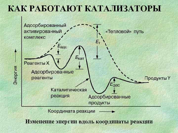 КАК РАБОТАЮТ КАТАЛИЗАТОРЫ Изменение энергии вдоль координаты реакции 