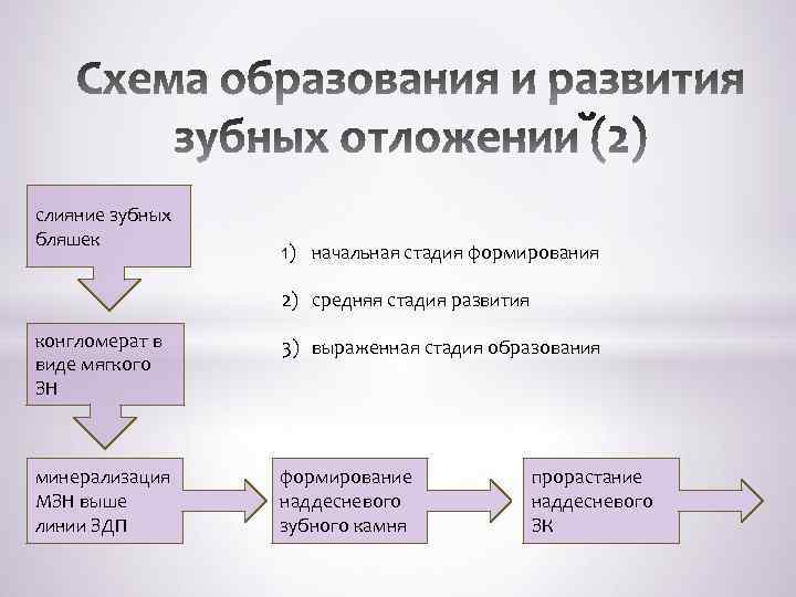  слияние зубных бляшек 1) начальная стадия формирования 2) средняя стадия развития конгломерат в