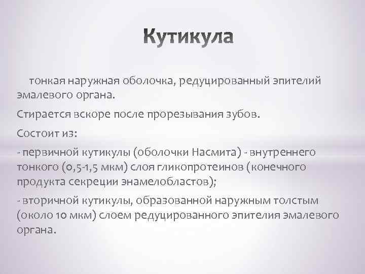  тонкая наружная оболочка, редуцированный эпителий эмалевого органа. Стирается вскоре после прорезывания зубов. Состоит