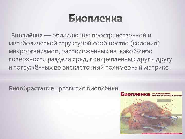  Биоплёнка — обладающее пространственной и метаболической структурой сообщество (колония) микрорганизмов, расположенных на какой-либо