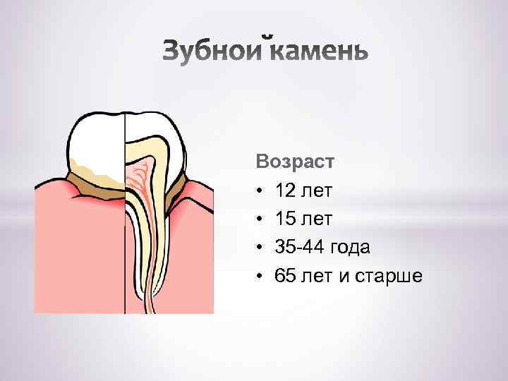  Возраст • 12 лет • 15 лет • 35 -44 года • 65