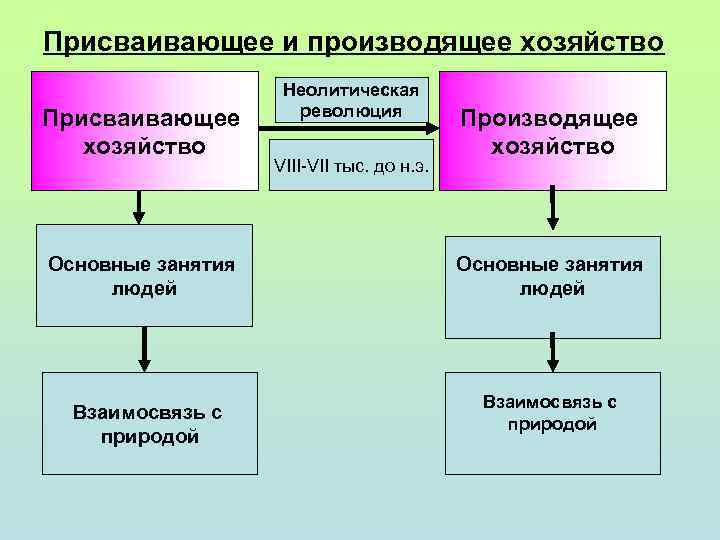 Присваивающее и производящее хозяйство Присваивающее хозяйство Основные занятия людей Взаимосвязь с природой Неолитическая революция