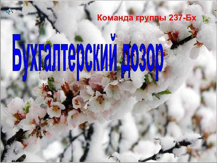 Команда группы 237 -Бх 