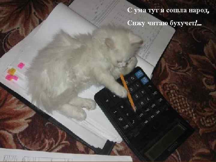 С ума тут я сошла народ, Сижу читаю бухучет!. . . 