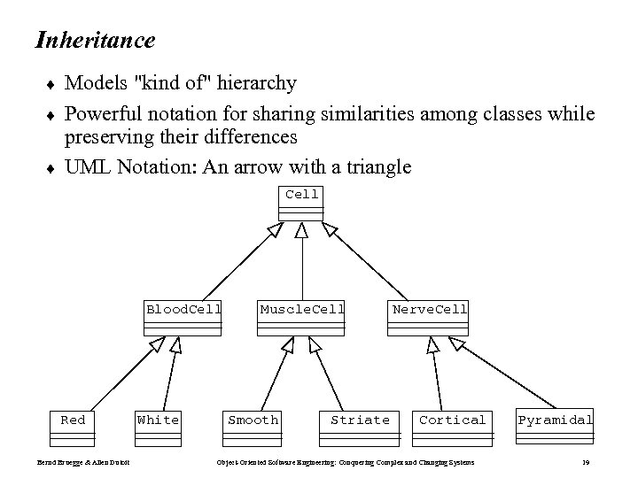 Inheritance ¨ ¨ ¨ Models "kind of" hierarchy Powerful notation for sharing similarities among