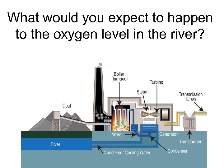 What would you expect to happen to the oxygen level in the river? 