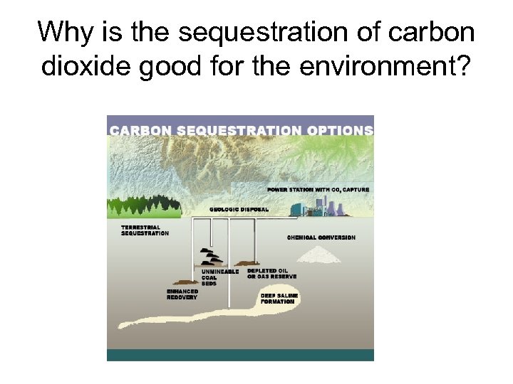 Why is the sequestration of carbon dioxide good for the environment? 