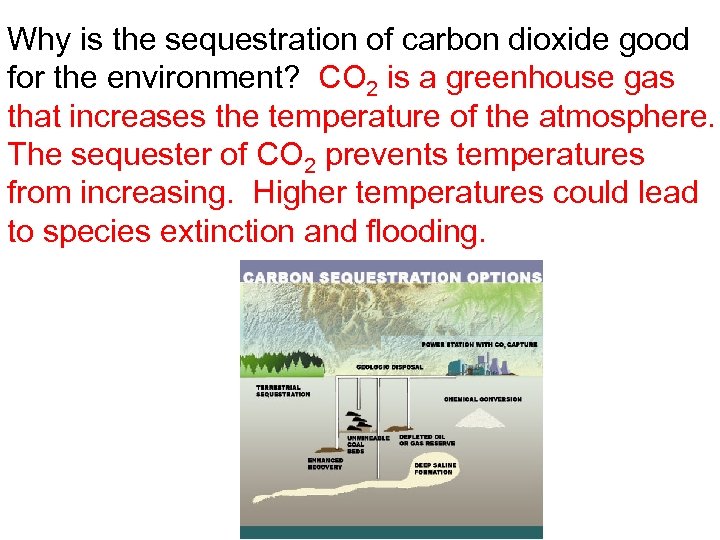 Why is the sequestration of carbon dioxide good for the environment? CO 2 is