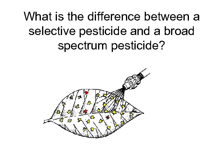 What is the difference between a selective pesticide and a broad spectrum pesticide? 