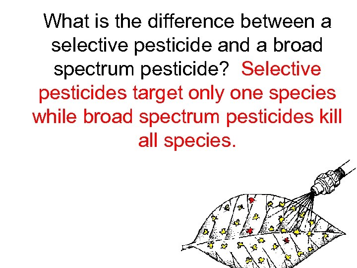 What is the difference between a selective pesticide and a broad spectrum pesticide? Selective