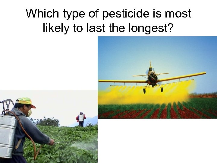 Which type of pesticide is most likely to last the longest? 