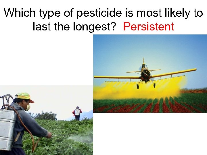 Which type of pesticide is most likely to last the longest? Persistent 