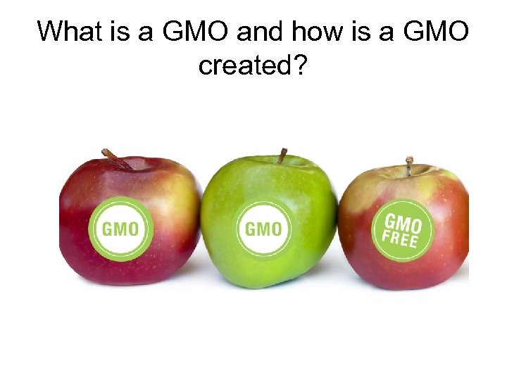 What is a GMO and how is a GMO created? 