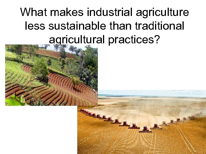 What makes industrial agriculture less sustainable than traditional agricultural practices? 