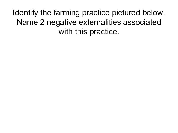 Identify the farming practice pictured below. Name 2 negative externalities associated with this practice.