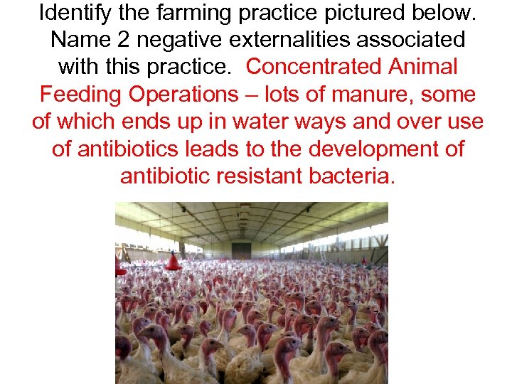 Identify the farming practice pictured below. Name 2 negative externalities associated with this practice.