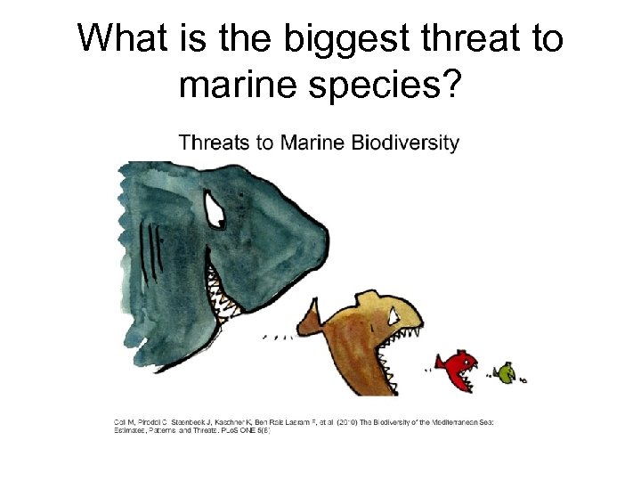 What is the biggest threat to marine species? 