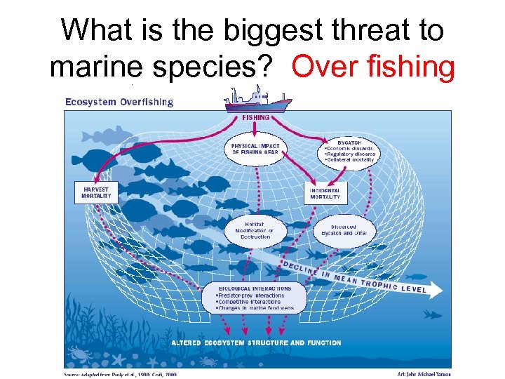 What is the biggest threat to marine species? Over fishing 