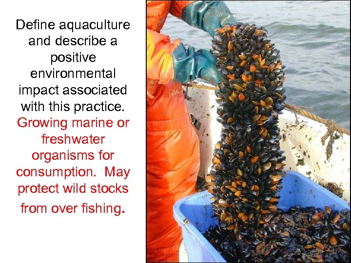 Define aquaculture and describe a positive environmental impact associated with this practice. Growing marine