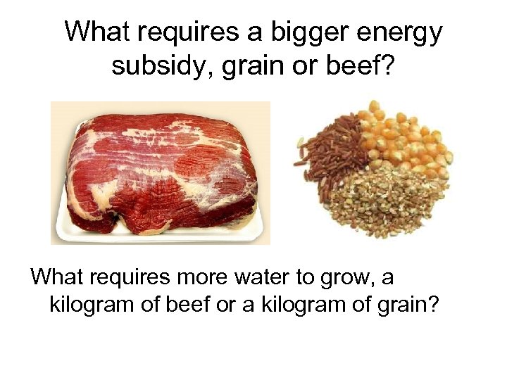 What requires a bigger energy subsidy, grain or beef? What requires more water to