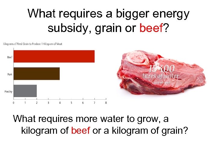 What requires a bigger energy subsidy, grain or beef? What requires more water to