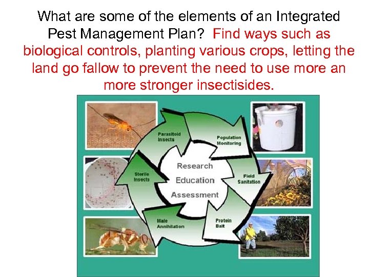 What are some of the elements of an Integrated Pest Management Plan? Find ways