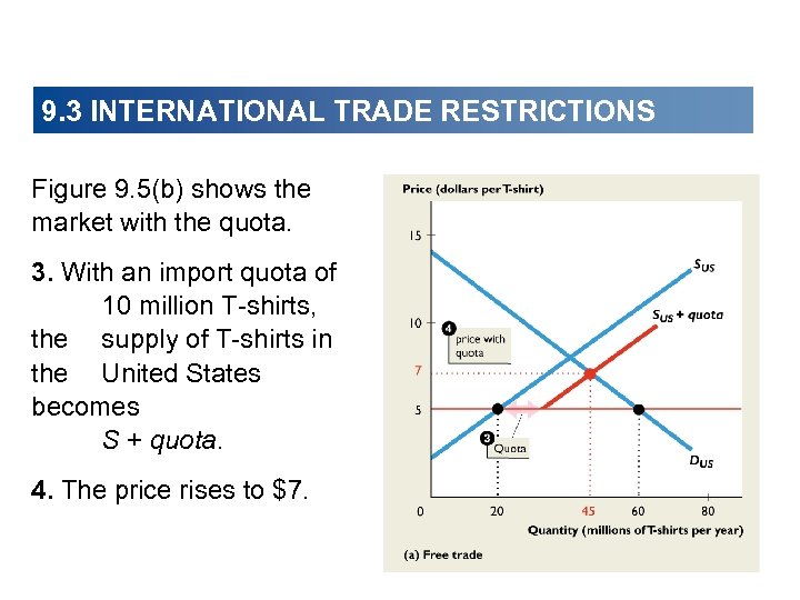 9. 3 INTERNATIONAL TRADE RESTRICTIONS Figure 9. 5(b) shows the market with the quota.