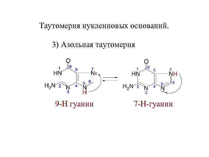 Схема таутомерных превращений гуанина - 88 фото