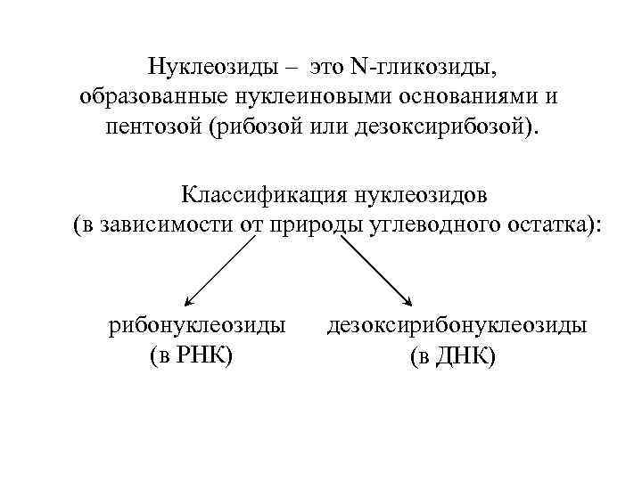 Нуклеозиды – это N-гликозиды, образованные нуклеиновыми основаниями и пентозой (рибозой или дезоксирибозой). Классификация нуклеозидов