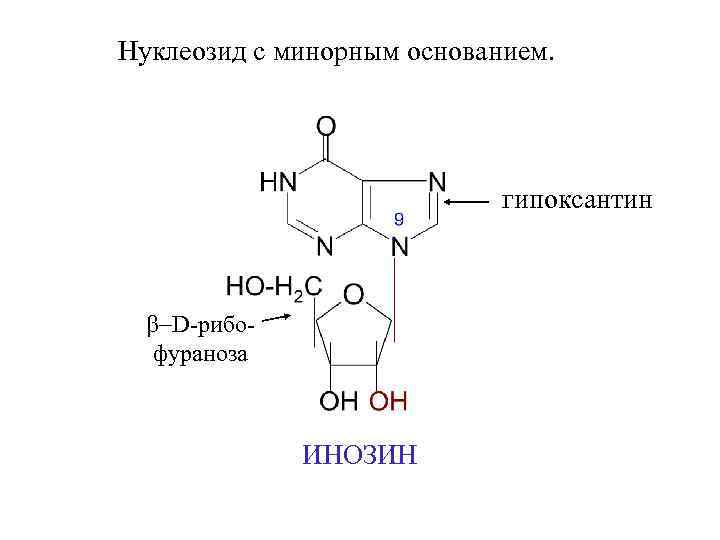 Нуклеозид с минорным основанием. гипоксантин b-D-рибофураноза ИНОЗИН 