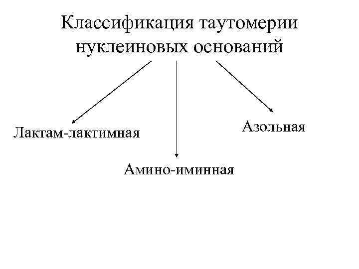 Классификация таутомерии нуклеиновых оснований Лактам-лактимная Амино-иминная Азольная 