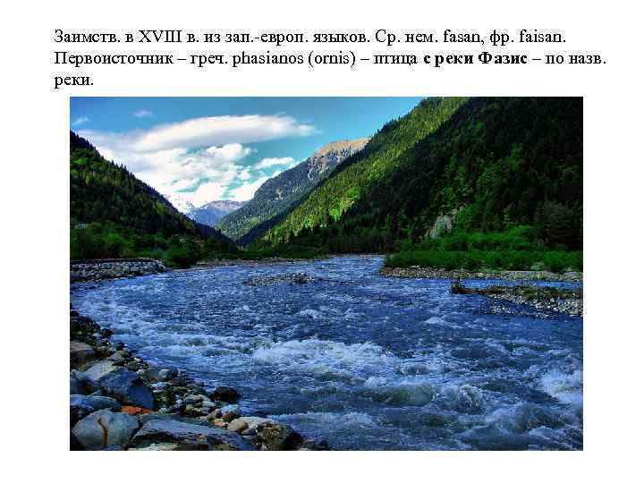 Заимств. в XVIII в. из зап. -европ. языков. Ср. нем. fasan, фр. faisan. Первоисточник