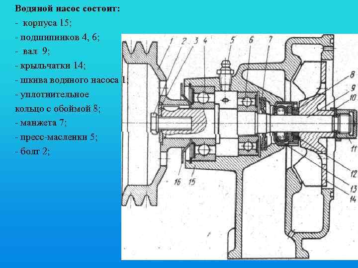 Водяной насос состоит: - корпуса 15; - подшипников 4, 6; - вал 9; -